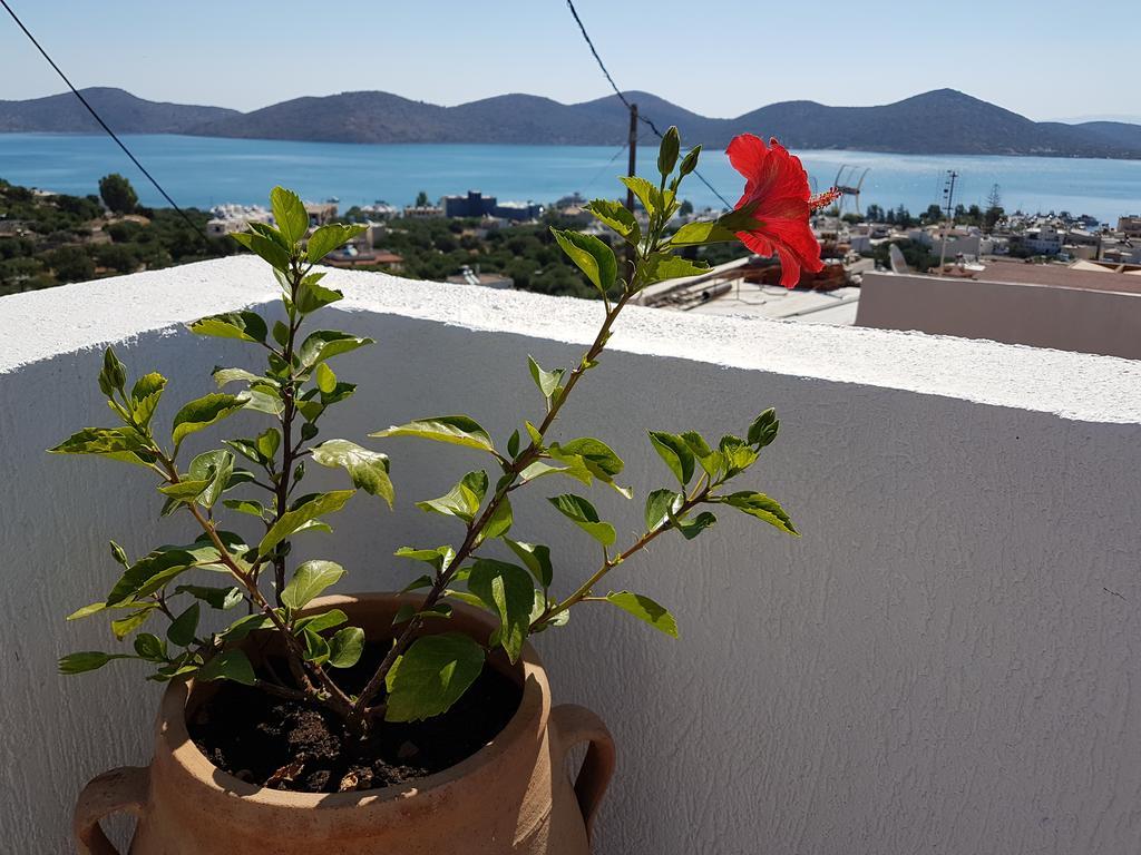 Veranda Ελούντα Εξωτερικό φωτογραφία